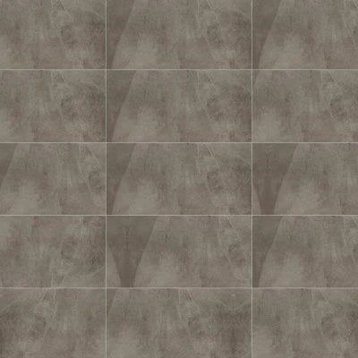 Delegate Light Grey, Rectangle, 12X24, Matte