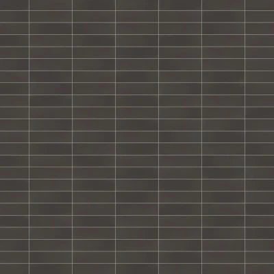 Zenia 2.5" x 9" Matte Floor & Wall Tile in Gravity