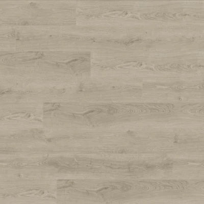 Concorde Oak