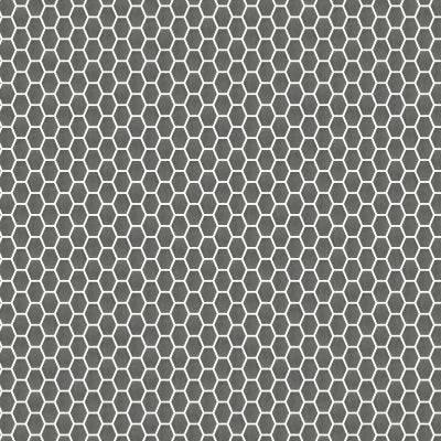 Newton Graphite Natural Hex (10X14 Sheet)