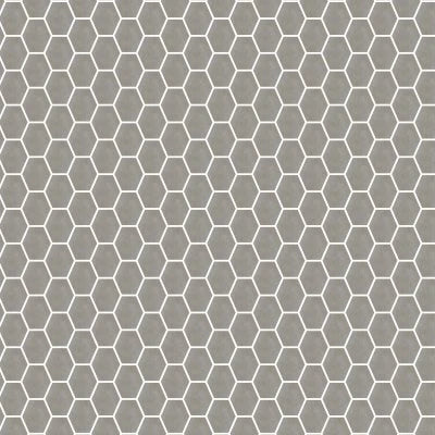 Etna Gris 10x14Hexagon Mosaic Natural