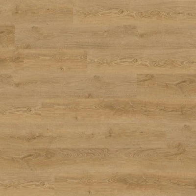 Concorde Oak