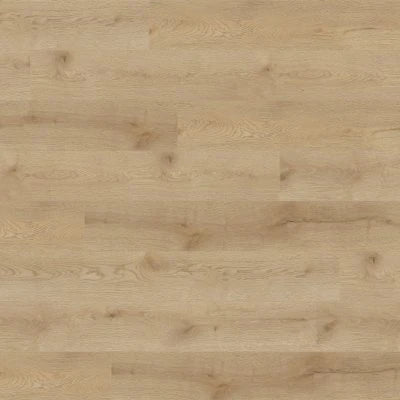 Concorde Oak