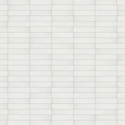 Marin 2.5" x 10" Ceramic Wall Tile in Pearl White