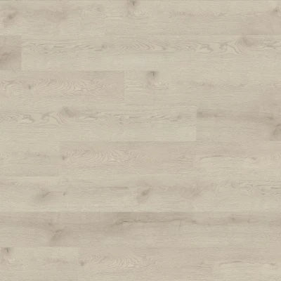Concorde Oak