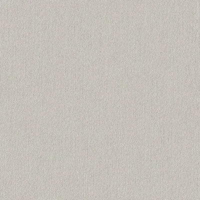 CCS80-00500