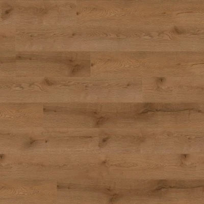 Concorde Oak