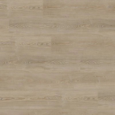 Concorde Oak