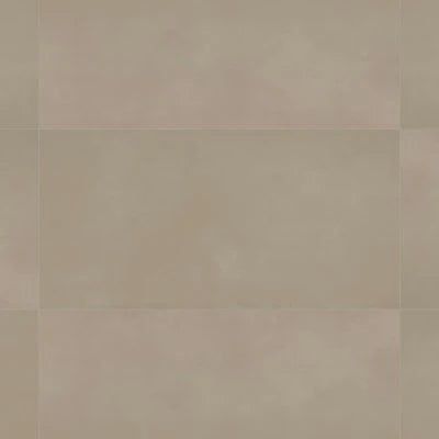 Sahara 24" x 48" Matte Porcelain Tile in Taupe