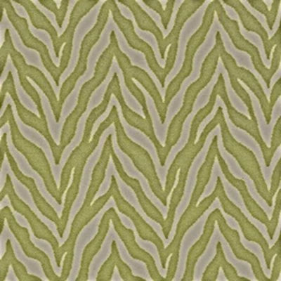 Zesty Zebra