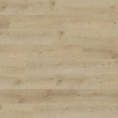 Concorde Oak