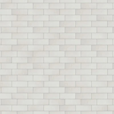 PASSION BLANCO GLOSSY 3X8-POR