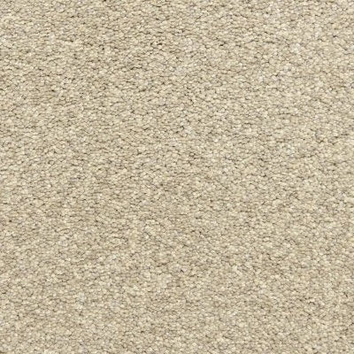 D020T-31243