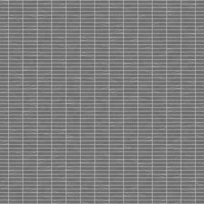 100005433