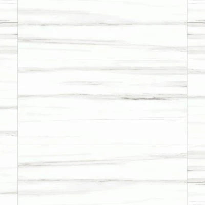 Prati 24" x 48" Polished Porcelain Field Tile in Dolomite