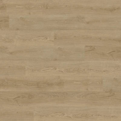 Concorde Oak