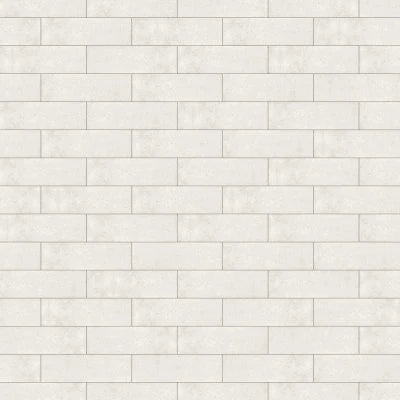 PAGONI SILVER GLOSSY 4X13-POR