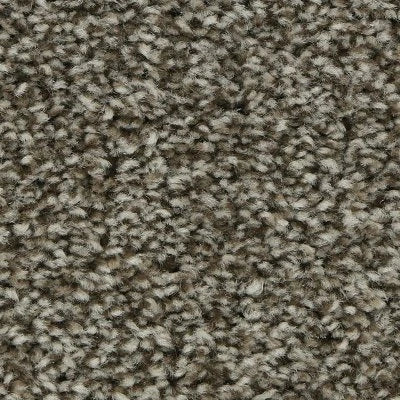 Polished Shades II