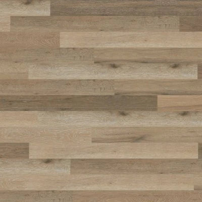 CANTERBURY ASH AKP-RL41