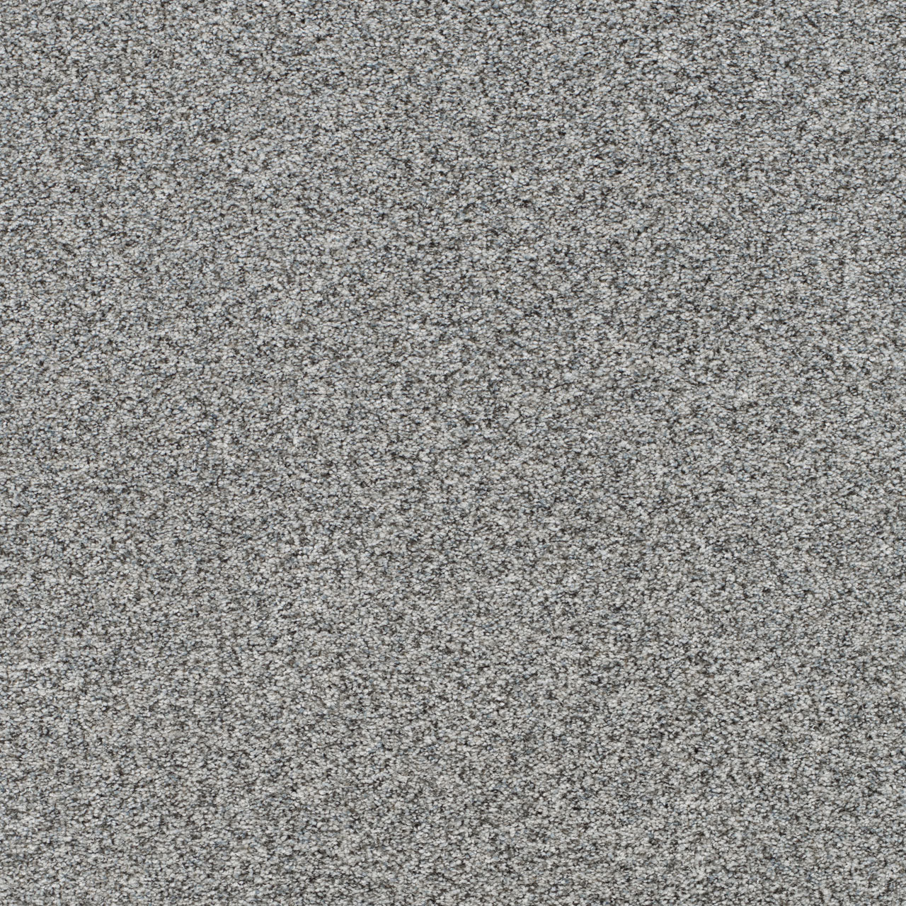 DreamWeaver® Prismatic III Textured Carpet