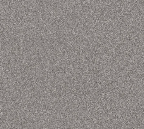 Rudy I Carpet | 10% OFF