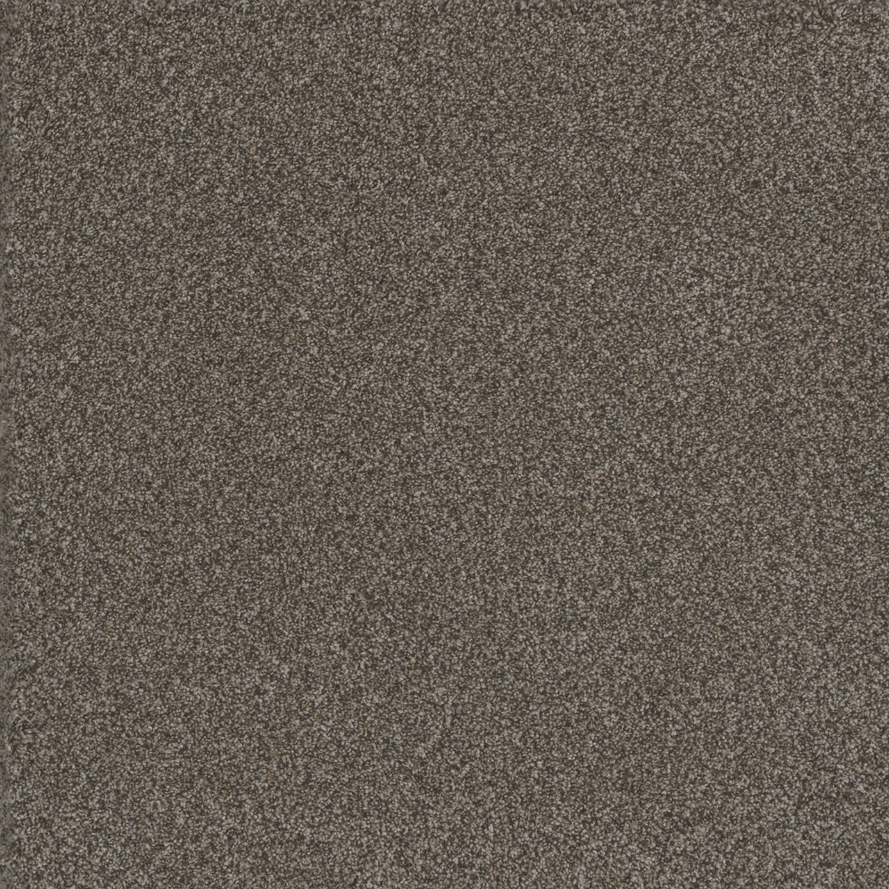 DreamWeaver® Titan I Textured Carpet