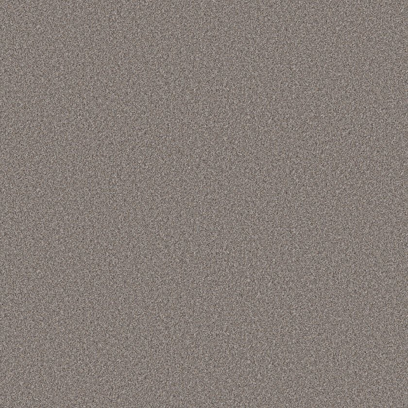 Shaw Wonderland II Carpet Remnant MEGA DEAL