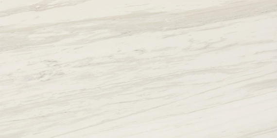 Daltile Perpetuo Marble Look Porcelain Tile | Coordinating Set