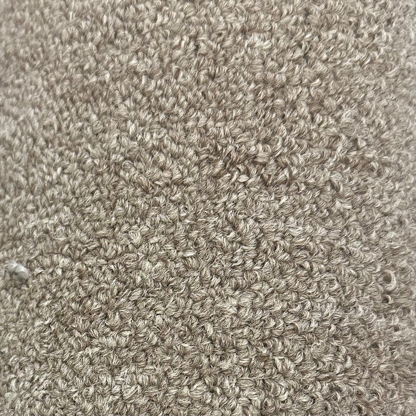 Coach 26, Desert Dune