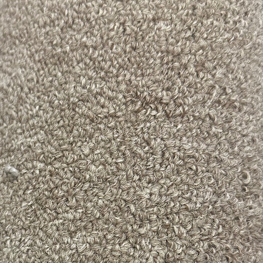 Coach 26, Desert Dune