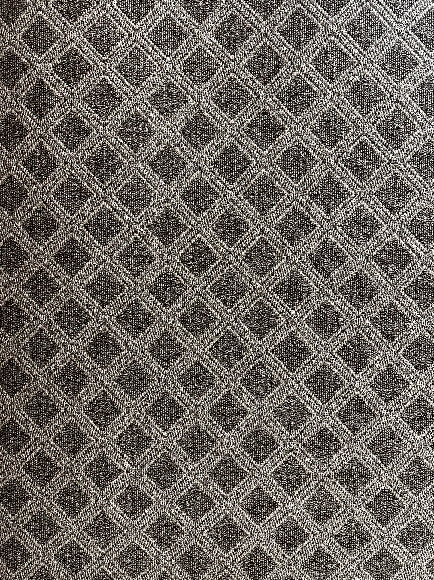 Scout, Desert Palm 5' x 7' Area Rug