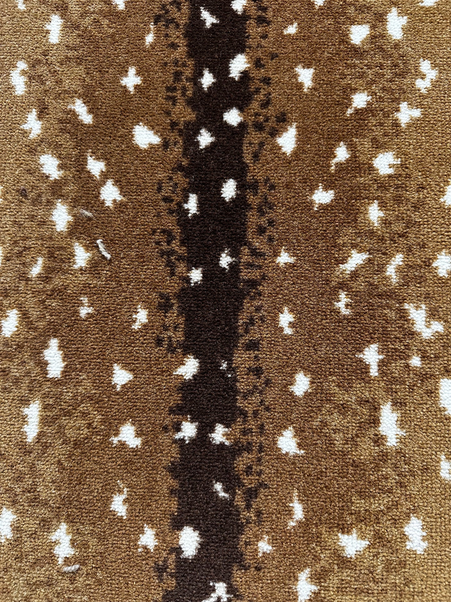 Antelope Skin Area Rug 5' x 7' 6"