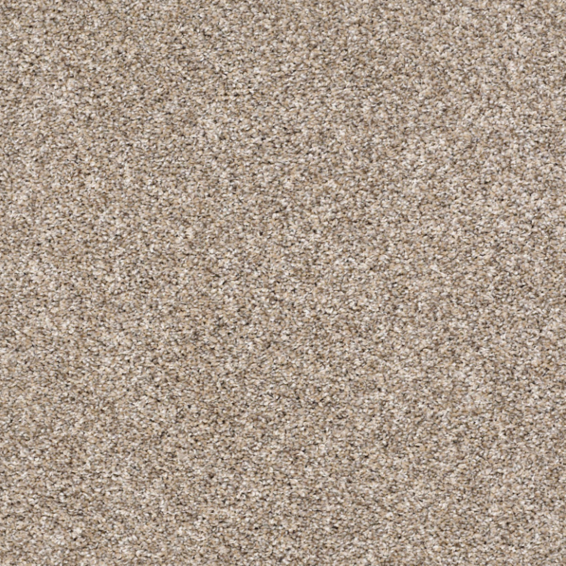 Shaw 100% Solution Dyed PET Polyester with 43.9 oz Face Weight