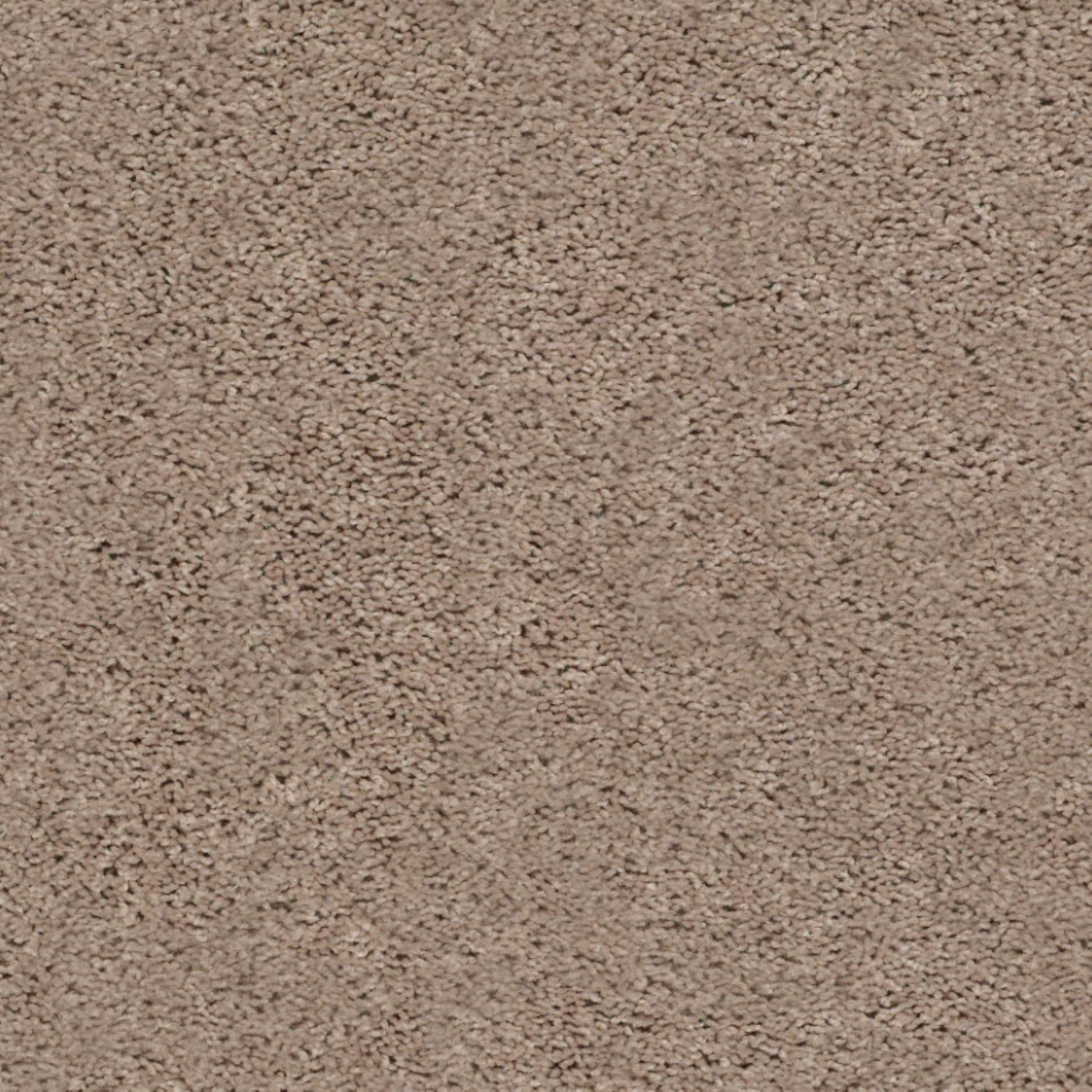 Shaw 100% PET Polyester Carpet with 25 oz Face Weight