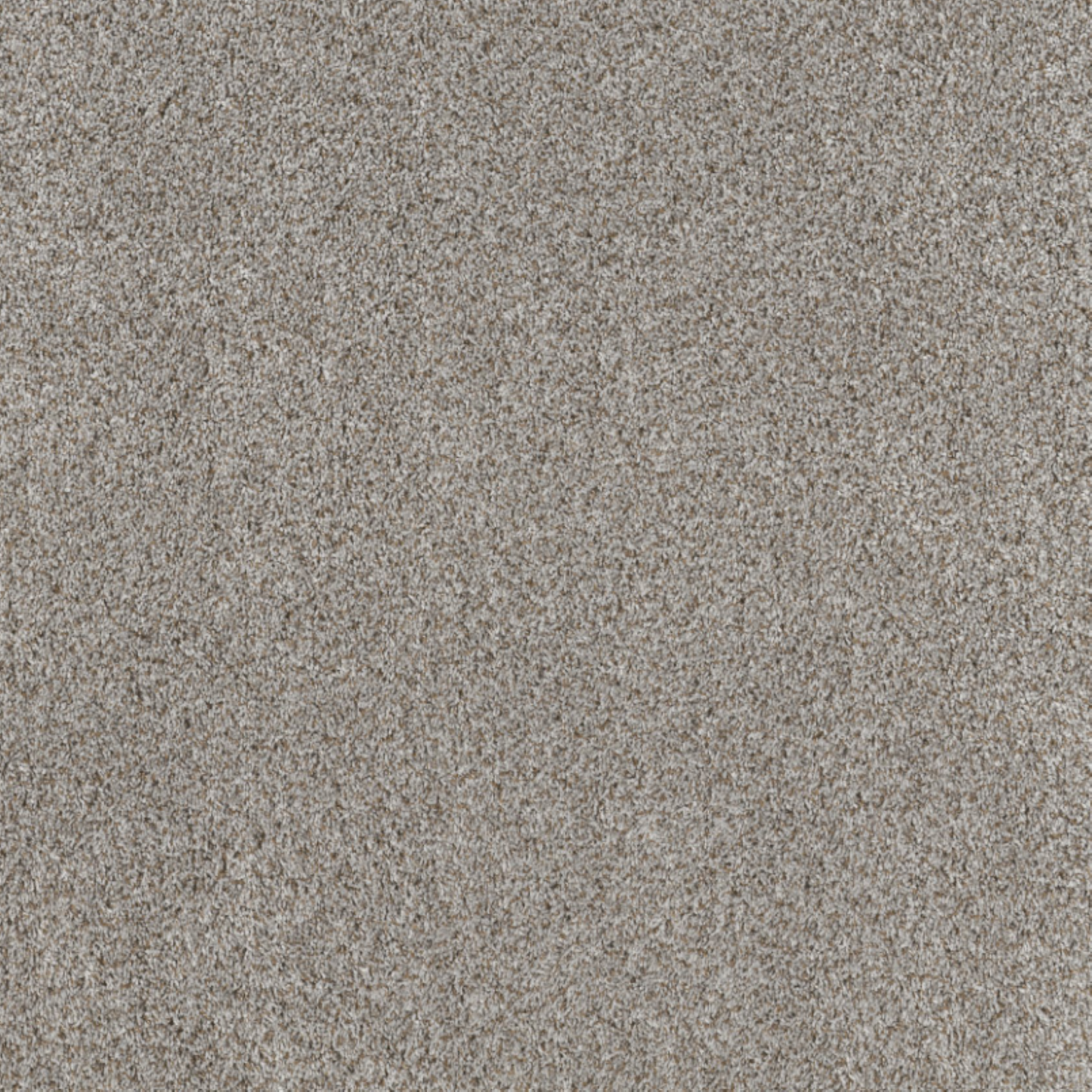 Shaw 100% PET Polyester Carpet with 25 oz Face Weight