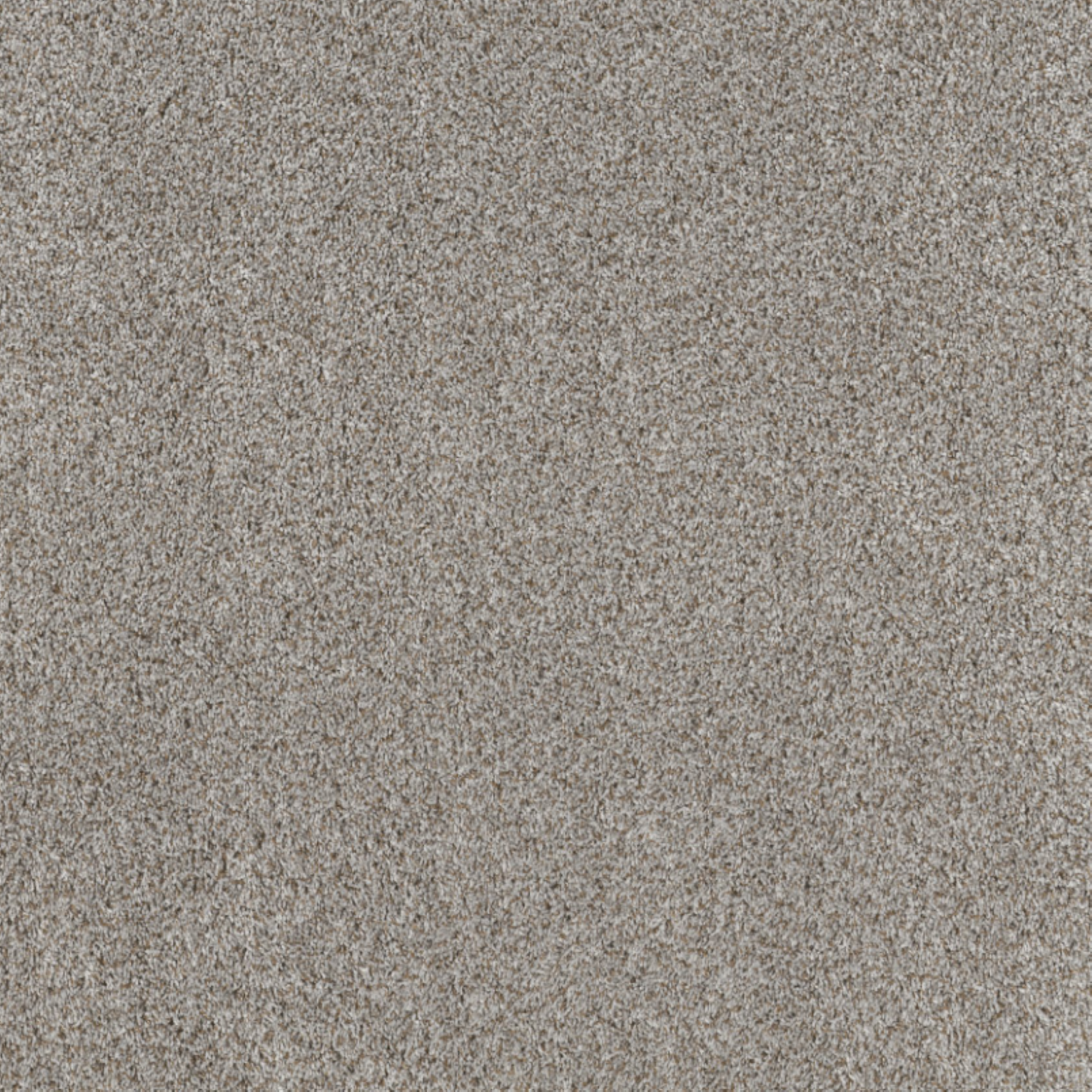 Shaw 100% PET Polyester Carpet with 25 oz Face Weight