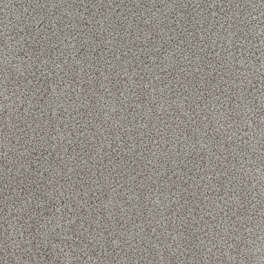 Shaw 100% PET Polyester Carpet with 25 oz Face Weight