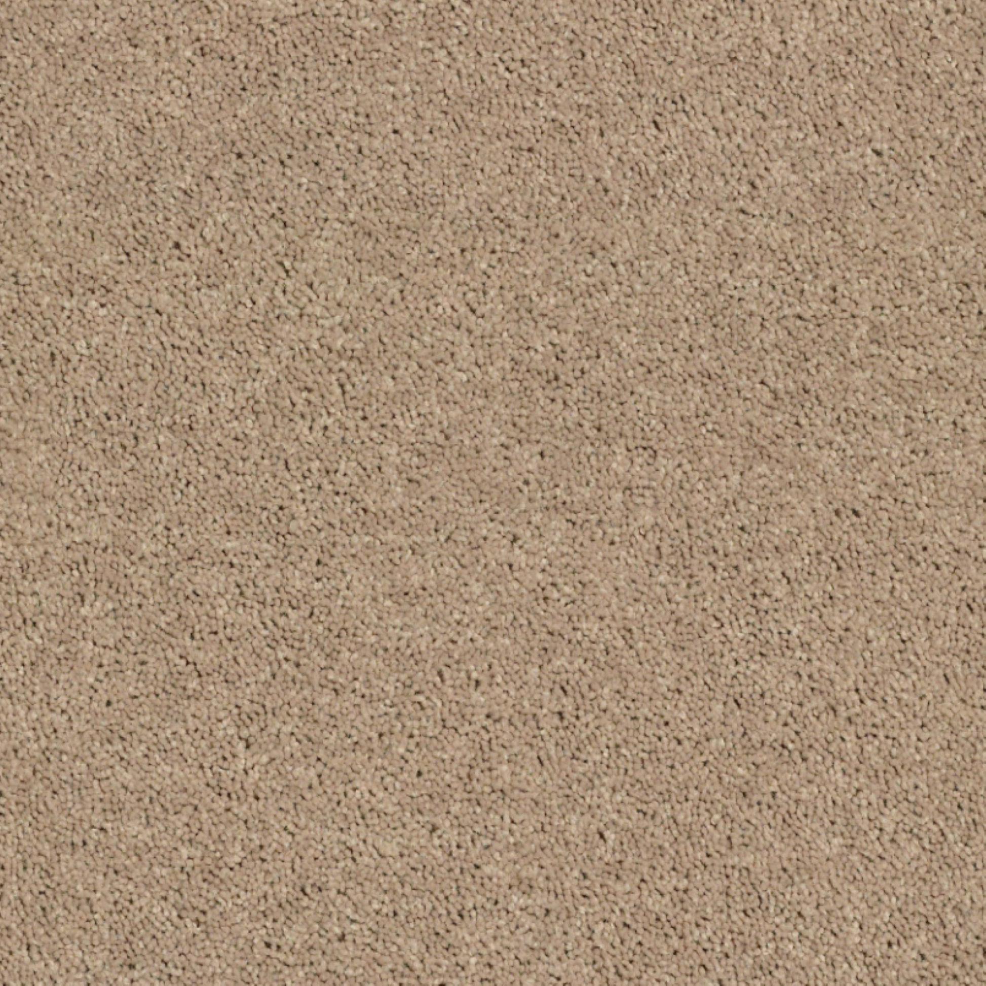 Shaw 100% PET Polyester Carpet with 25 oz Face Weight