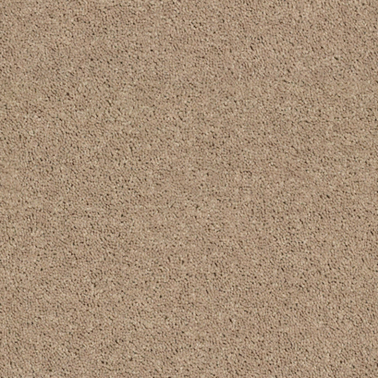 Shaw 100% PET Polyester Carpet with 25 oz Face Weight