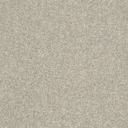 Shaw 100% PET Polyester Carpet with 25 oz Face Weight