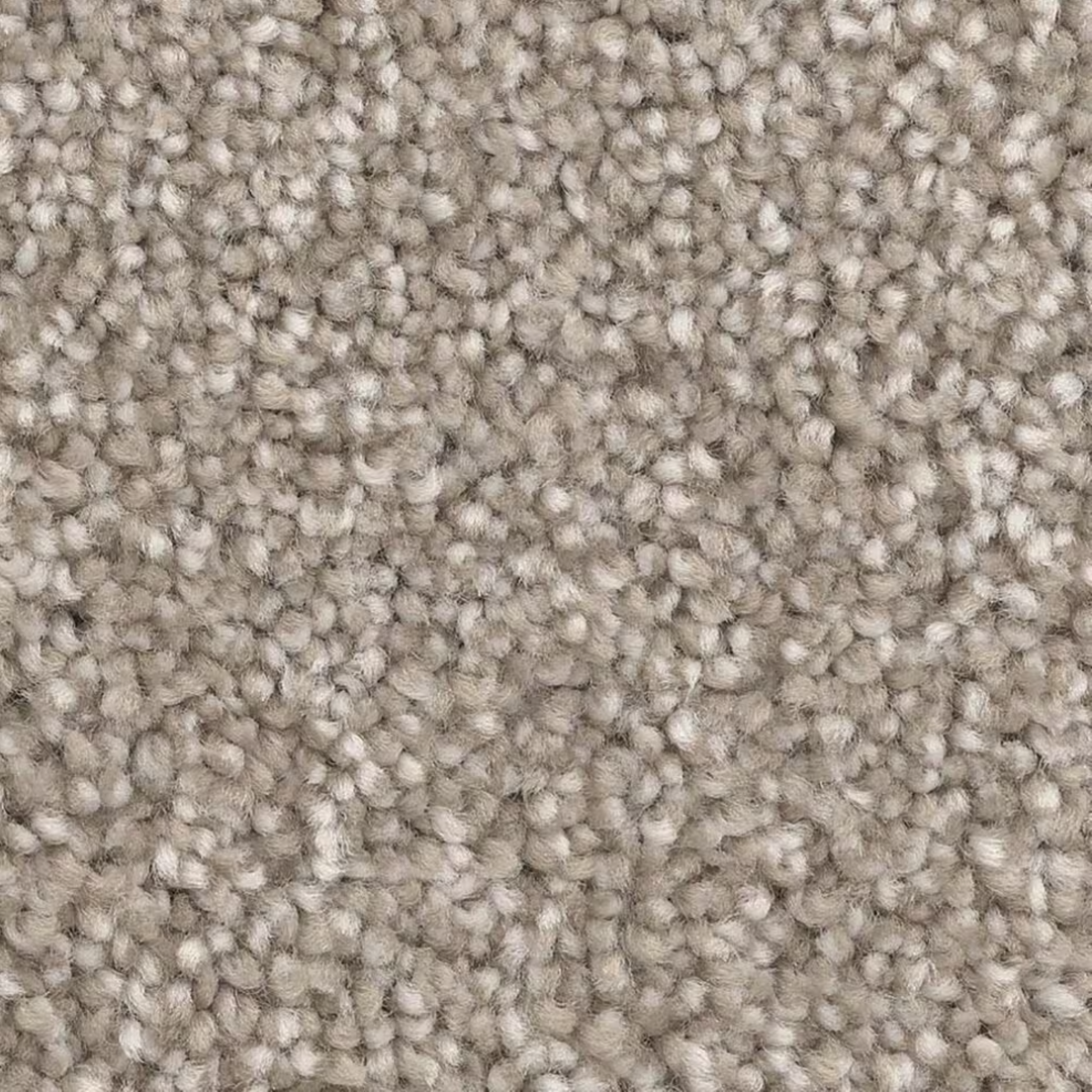 Dixie Polyester Carpet with 35 oz Face Weight