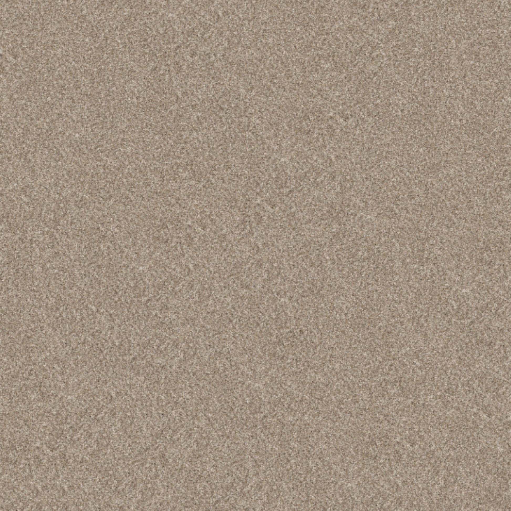 Shaw 100% Solution Dyed PET Polyester with 48.8 oz Face Weight