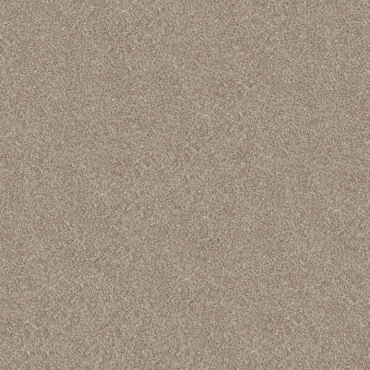 Shaw 100% Solution Dyed PET Polyester with 48.8 oz Face Weight
