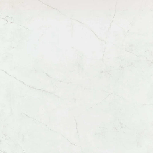 A large format porcelain tile that has the look of timeless marble.