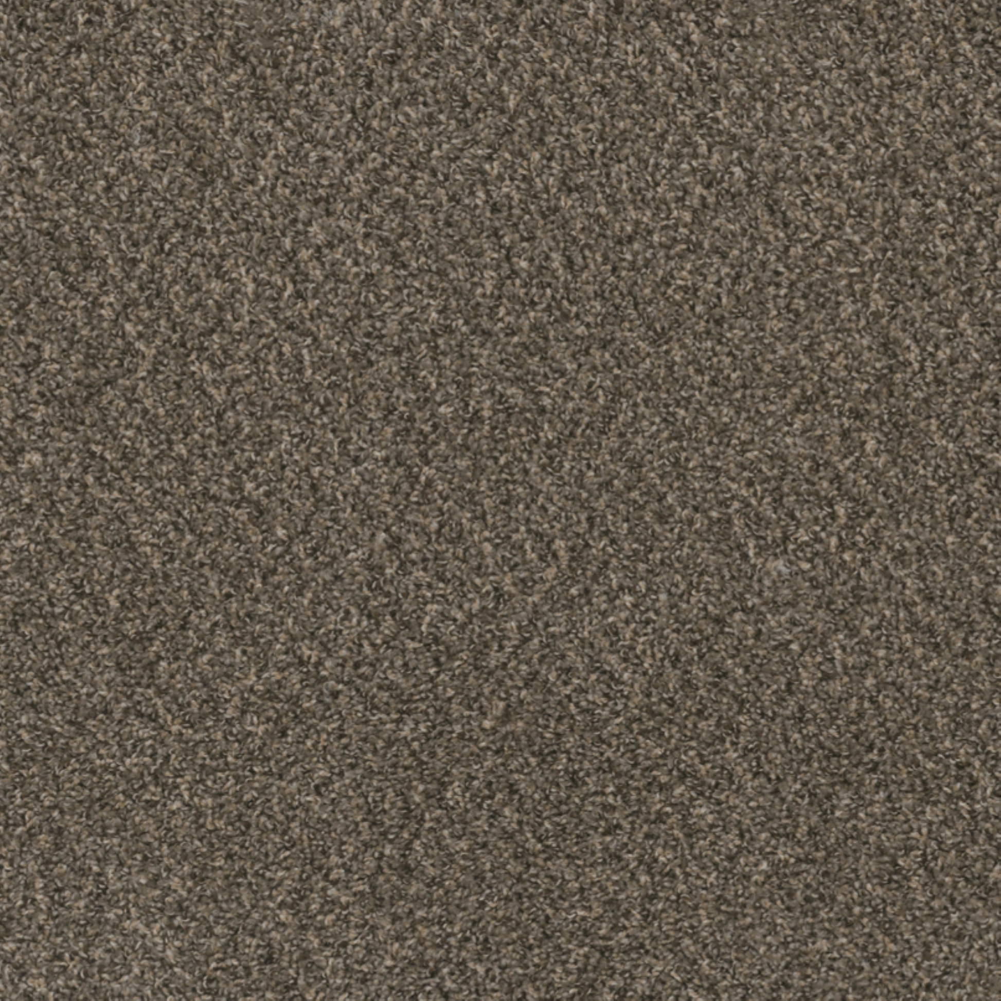 DreamWeaver 100% PureColor Solution Dyed BCF Polyester Carpet with 24 oz Face Weight