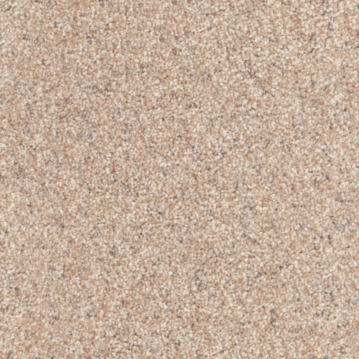 Dixie 100% EnvisionSD Pet Solutions BCF Nylon