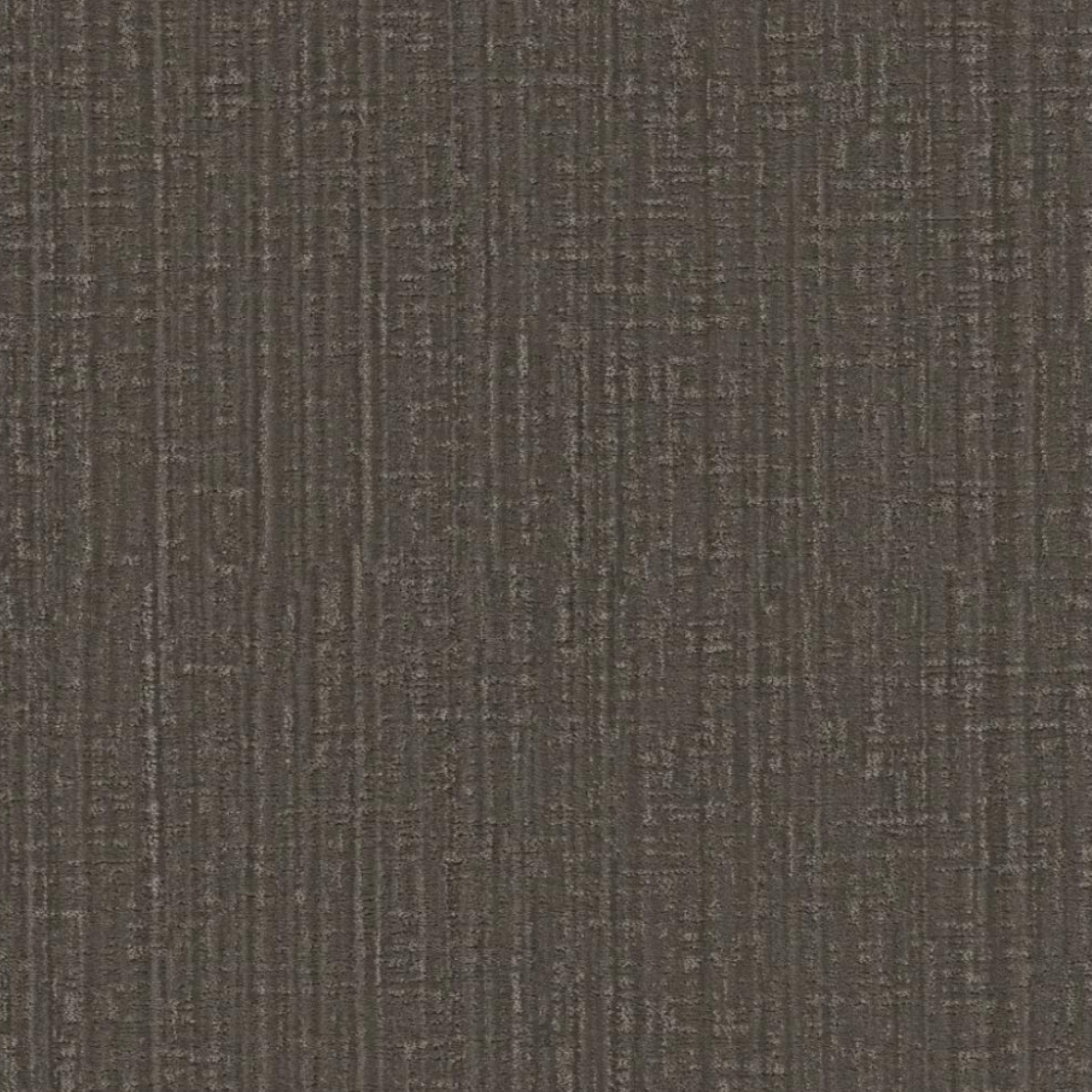 In the Moment, Tree Bark