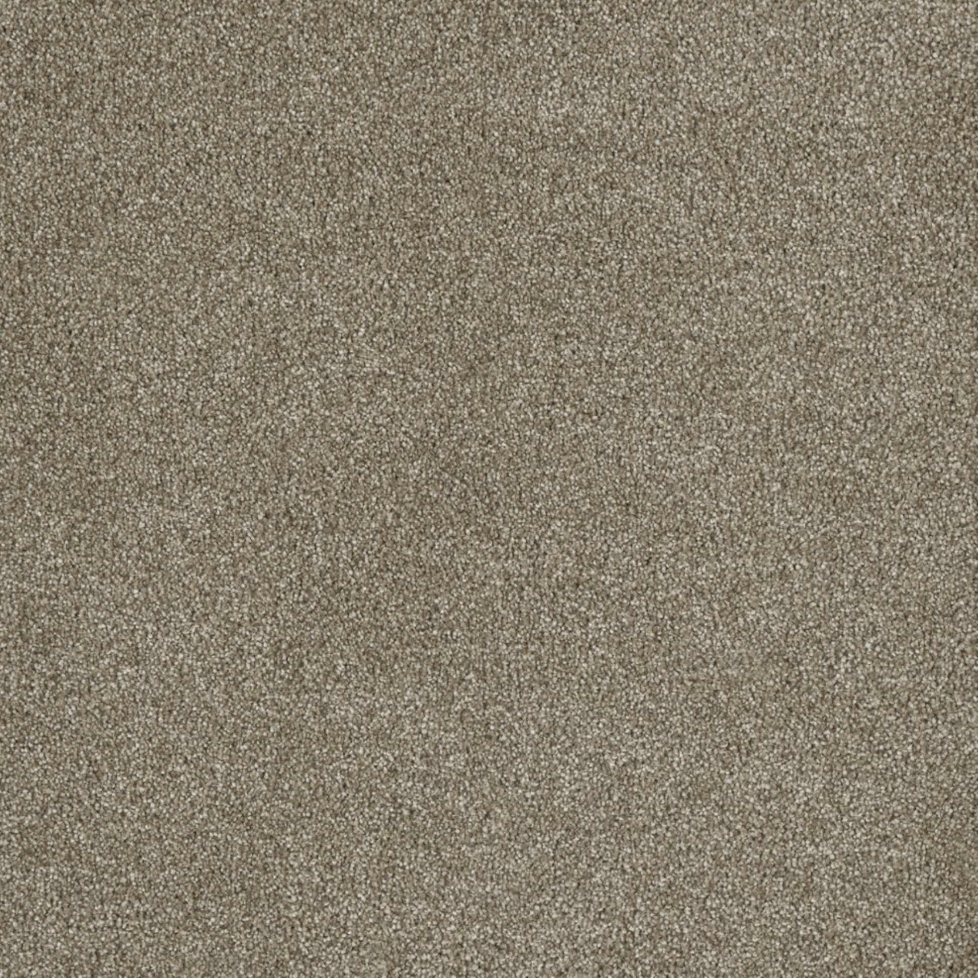 DreamWeaver 100% PureColor SD BCF Polyester with 50 oz Face Weight
