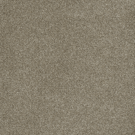 DreamWeaver 100% PureColor SD BCF Polyester with 50 oz Face Weight