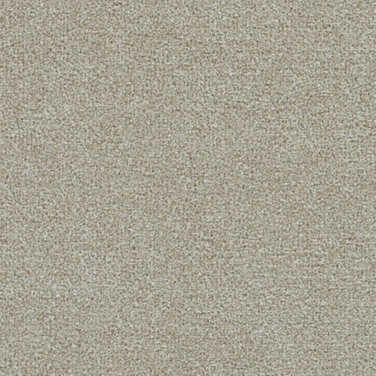 PS200 Carpet Remnants